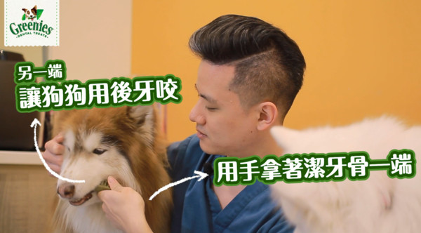 ▲▼你家狗寶貝潔牙骨吃對了嗎。（圖／翻攝自影片）